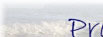 www.physiotherapie-ruegen.de